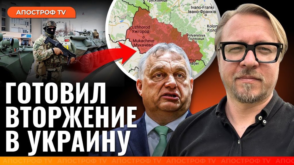 Борис Тизенгаузен Биография Личная Жизнь: путь и достижения