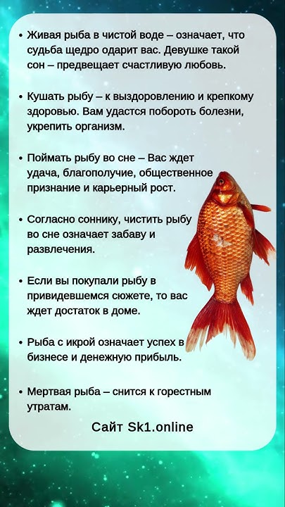 К Чему Снится Рыба: символика, толкования и культурные аспекты