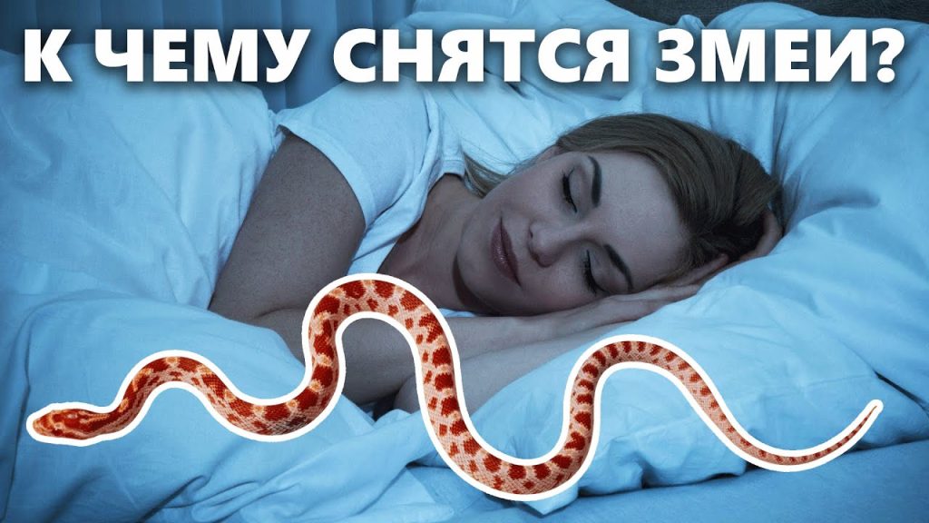 К Чему Снится Змея: значение сна и толкования в разных культурах