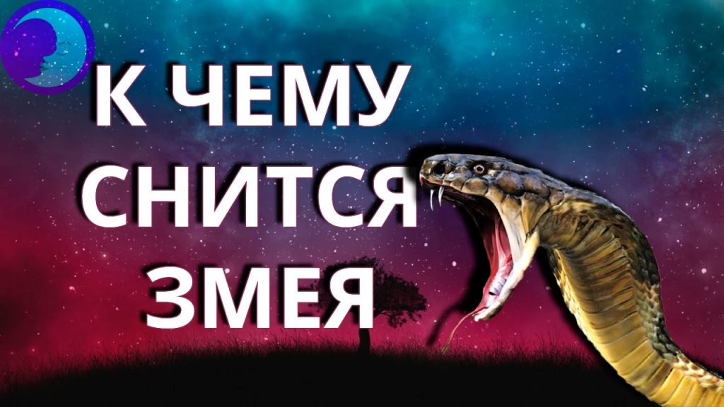 К Чему Снится Змея: значение сна и толкования в разных культурах