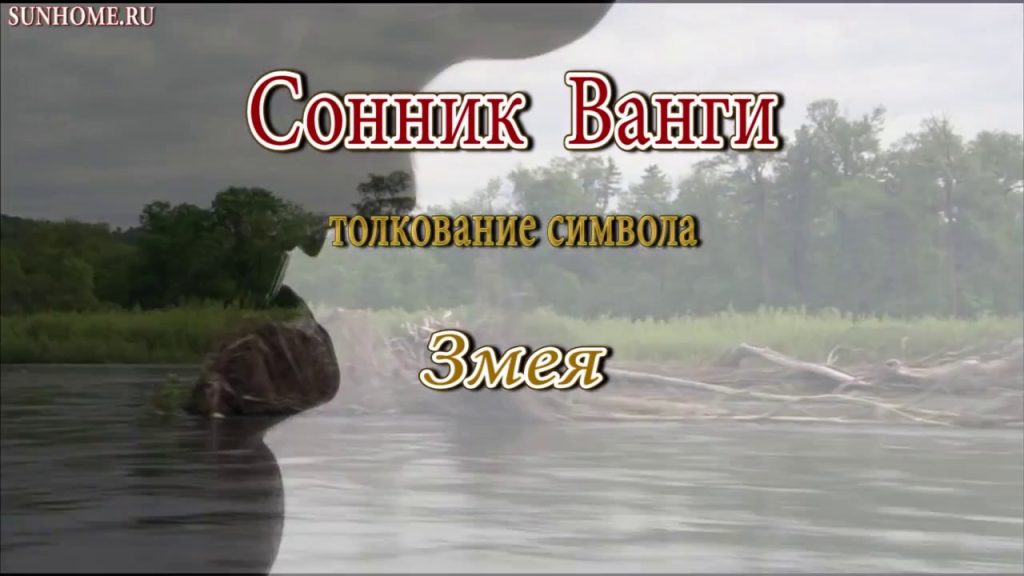 К Чему Снится Змея: значение сна и толкования в разных культурах