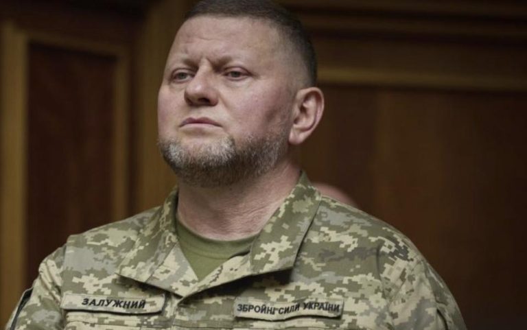 Перша Дружина Залужного: подробности личной жизни и биографии